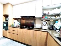 Park Green (D19), Condominium #564113571